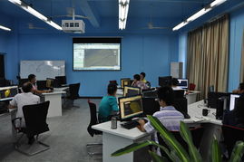 數(shù)字浪潮下的機遇與風險 理性看待在線購彩與信息咨詢服務(wù)